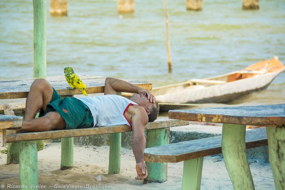 Imagem de um homem descansando no banco e um pássaro na mesa da vila.